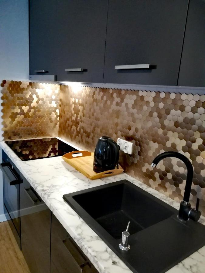 Dlugie Ogrody Apartment 209 גדנסק מראה חיצוני תמונה